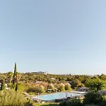 Pelican