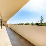 Pelican