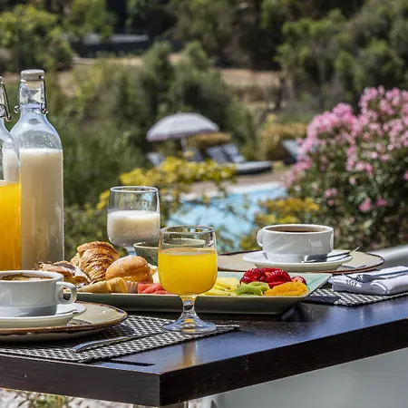 Pelican Aparthotel 4*